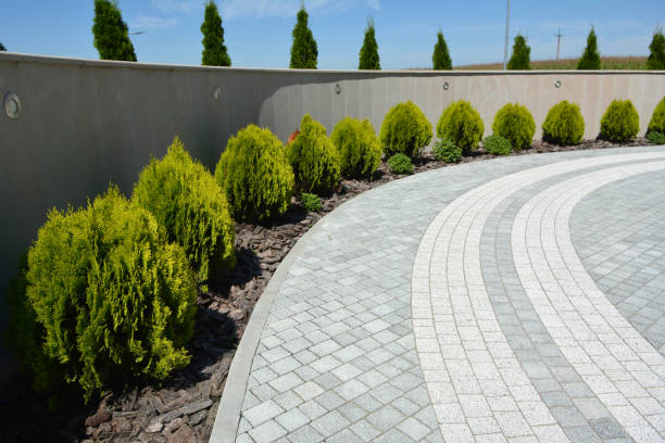 Best Residential Paver Driveway  in Dumas, AR